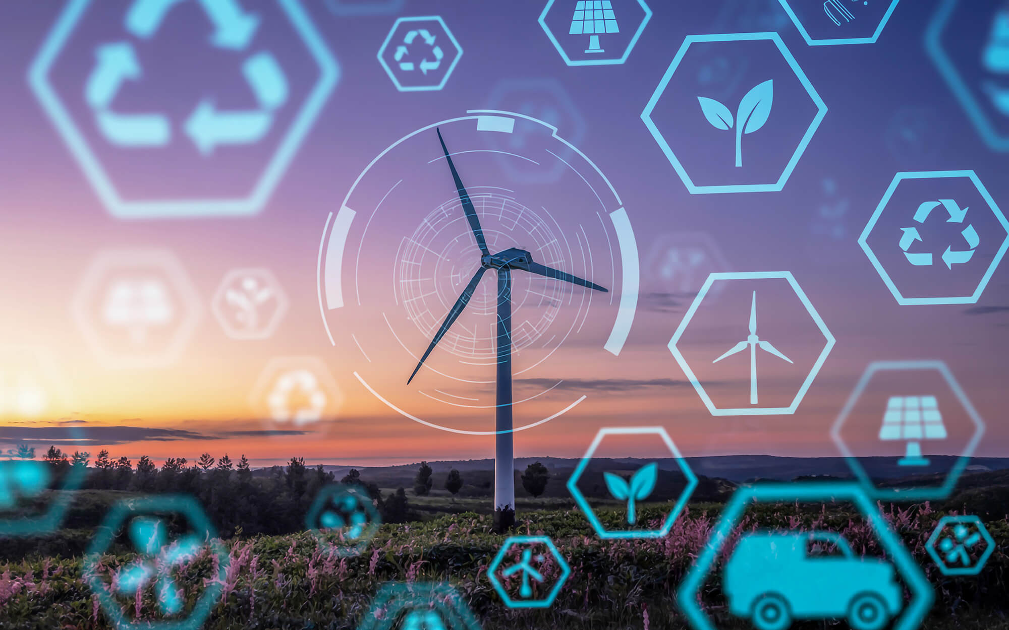 Documentation and data used to manage and report progress towards net zero targets